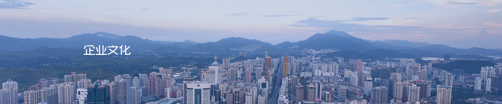 企业文化